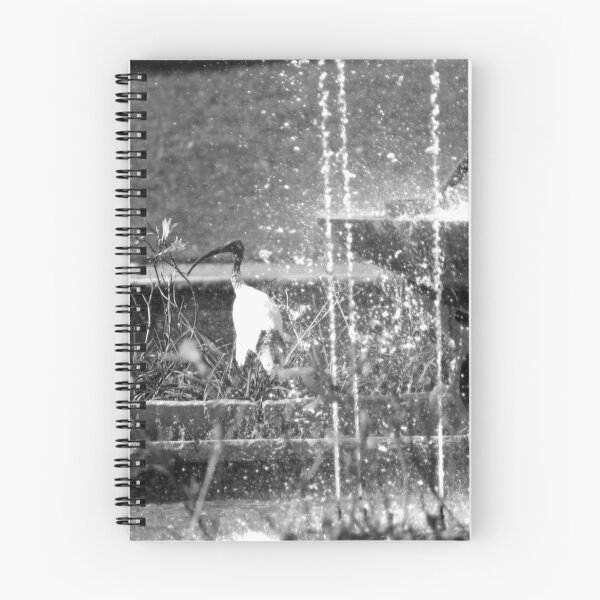 Item preview, Ibis Shower designed and sold by Sam Atwood.