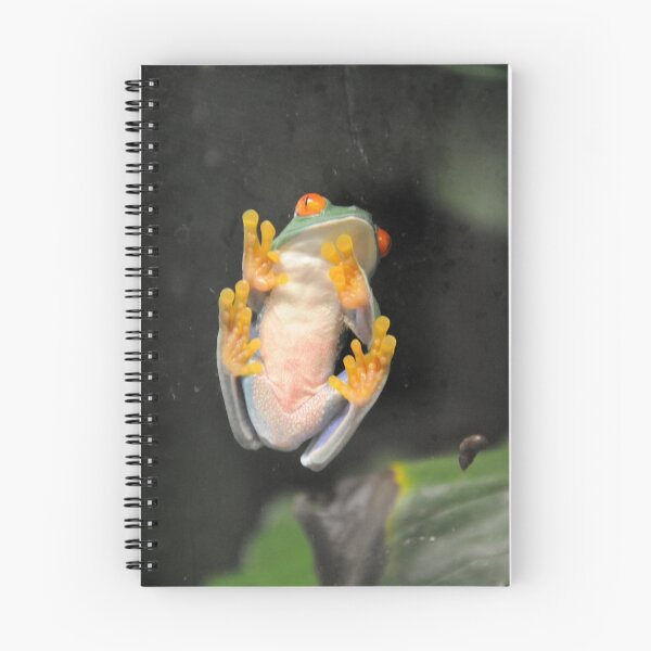Item preview, Hello Out There... designed and sold by Anne Smyth.