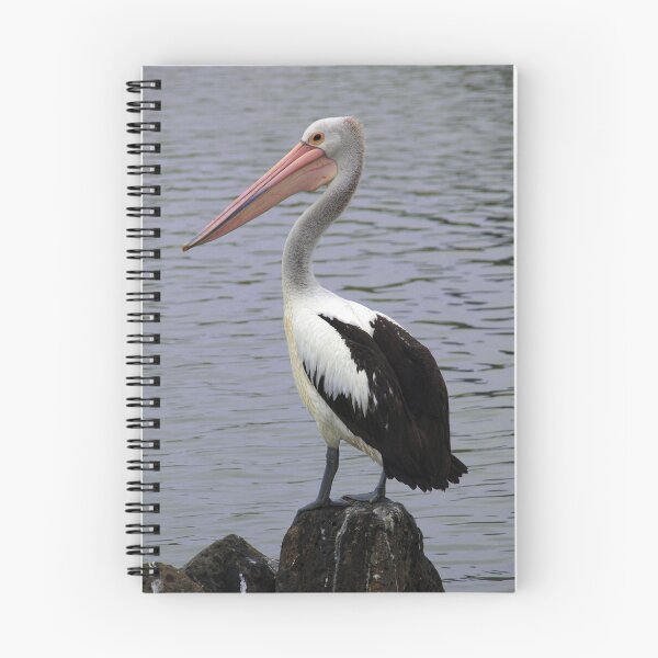 Item preview, Pelican designed and sold by Beth A.
