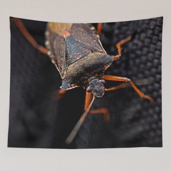 Item preview, THE HITCHHIKER FOREST SHIELDBUG designed and sold by NICK COBURN PHILLIPS.