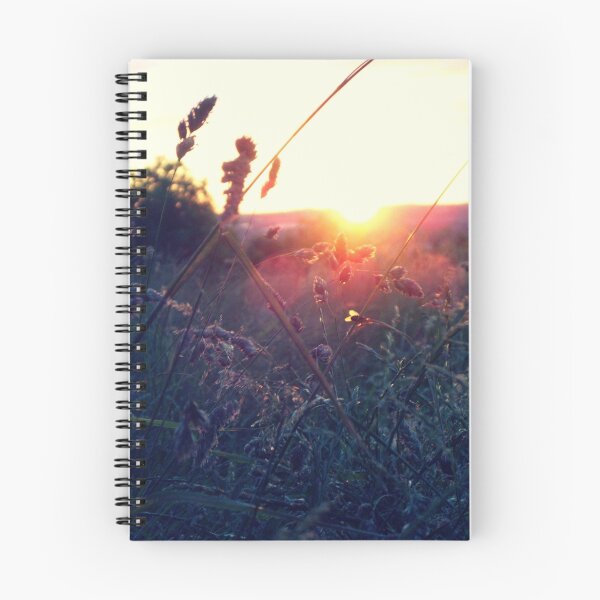 Item preview.