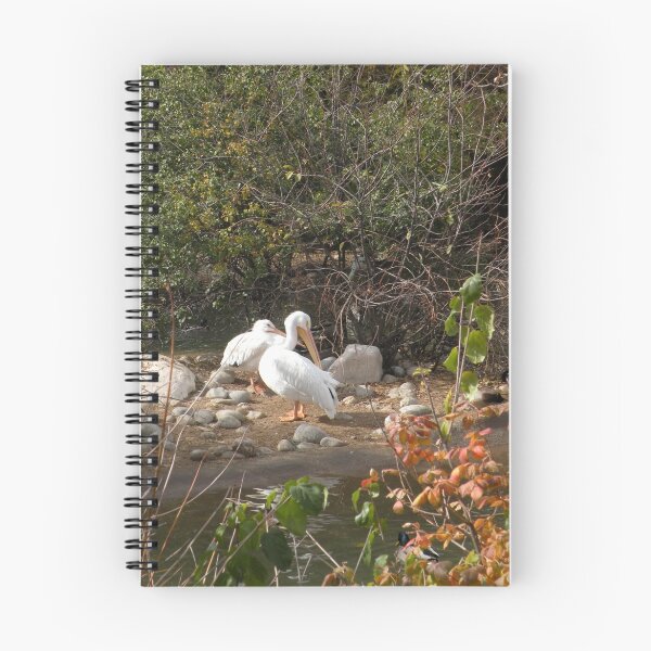 Item preview, Pelicans designed and sold by starbucksgirl26.