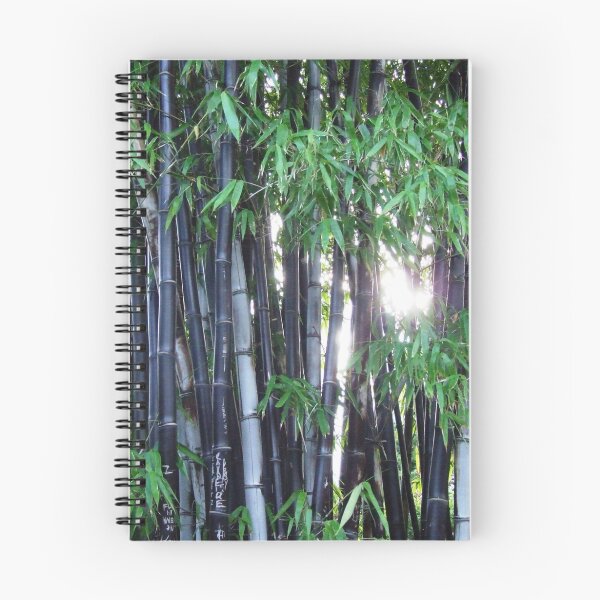 Item preview, Bamboo designed and sold by Paul Todd.
