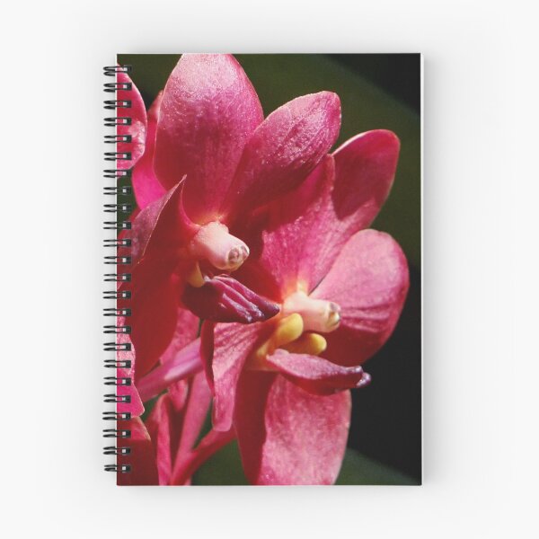 Item preview, Vivid Red designed and sold by PixPlanet.