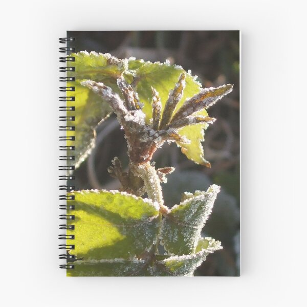 Item preview, Nettle designed and sold by AbsintheFairy.
