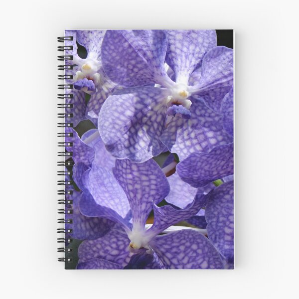 Item preview, Purply Soft designed and sold by PixPlanet.