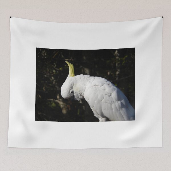 Item preview, Bowing Cockatoo designed and sold by CodyLaskeyPhoto.