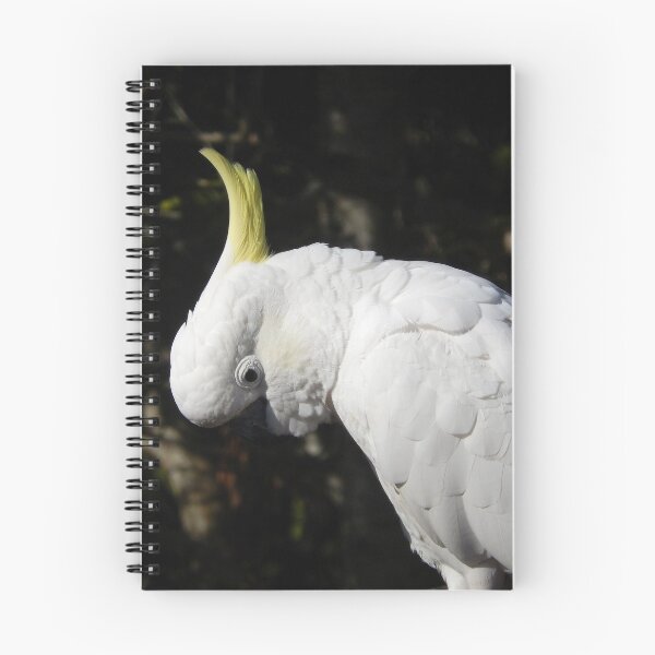 Item preview, Bowing Cockatoo designed and sold by CodyLaskeyPhoto.