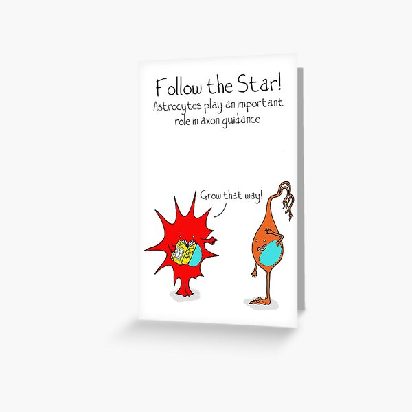 Item preview, Astrocytes: follow the star! designed and sold by Cartoon Neuron by Immy Smith.