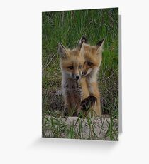 Siblings Greeting Card