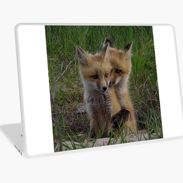 Siblings Laptop Skin