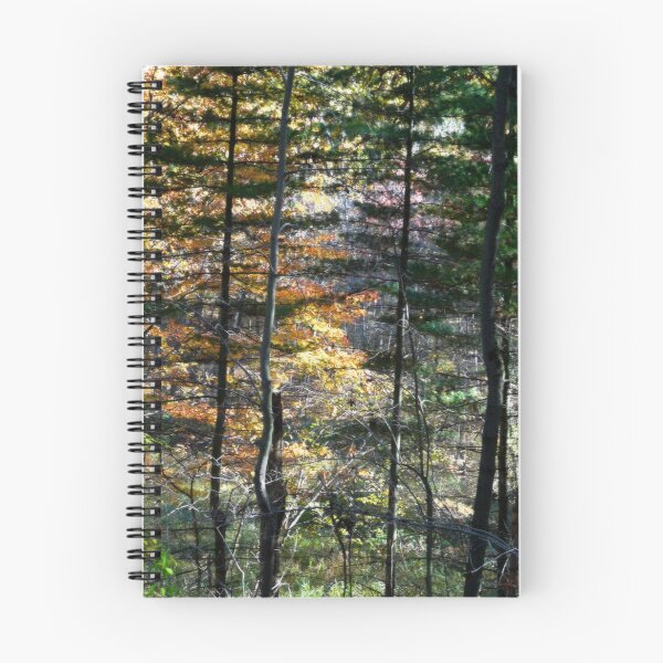 Item preview, Through the Pines designed and sold by enchantedImages.