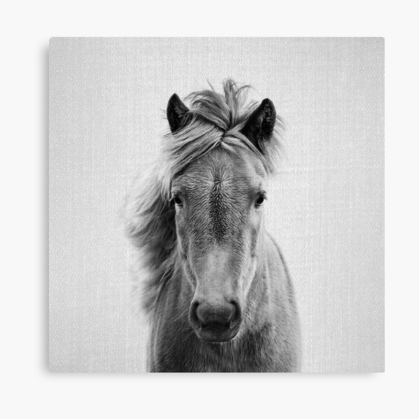 Item preview, Horse - Black & White designed and sold by galdesign.