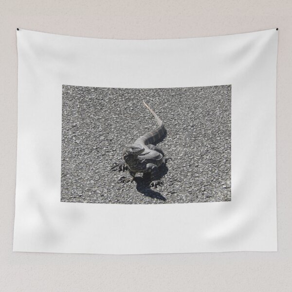 Item preview, Lace Monitor Portrait designed and sold by CodyLaskeyPhoto.