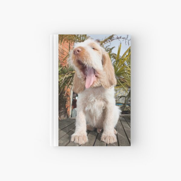 Orange and White Italian Spinone Puppy Dog Hardcover Journal