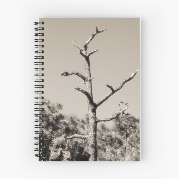 Item preview, Leafless designed and sold by Donna Wilkins.