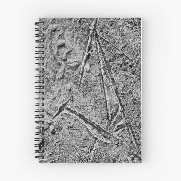 Item preview, Ice crystals on standing water designed and sold by Stephen  Van Tuyl.
