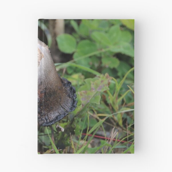 Item preview, Shaggy Ink Cap - Coprinus comatus designed and sold by AnnDixon.