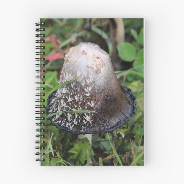 Item preview, Shaggy Ink Cap - Coprinus comatus designed and sold by AnnDixon.