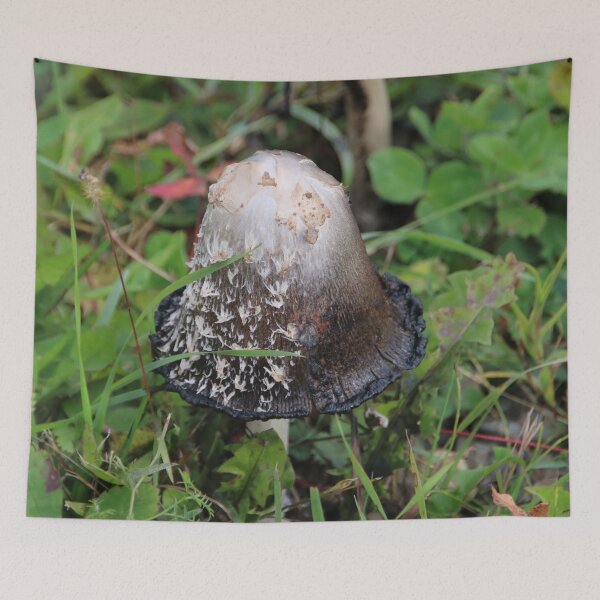 Item preview, Shaggy Ink Cap - Coprinus comatus designed and sold by AnnDixon.