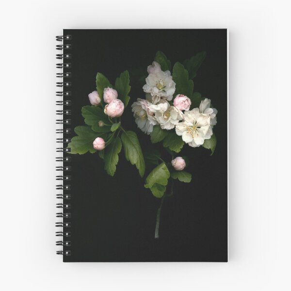 Artikelvorschau, Spring memory entworfen und verkauft von Quarryhill.