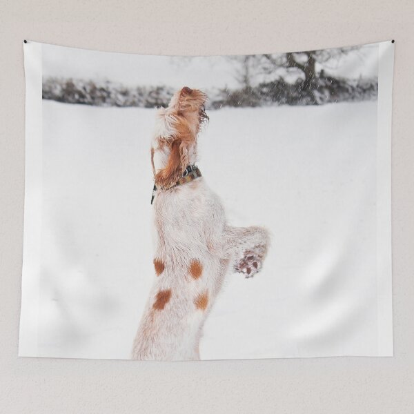Item preview, Snow Catching Spinone by heidiannemorris designed and sold by FOLK ART FUSION by heidiannemorris.