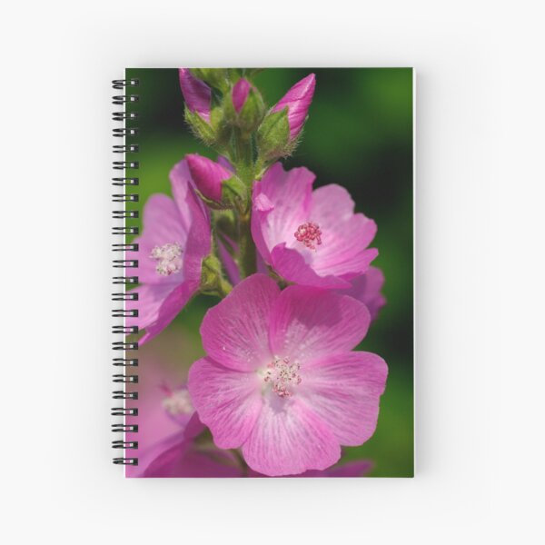 Mallow Spiral Notebook