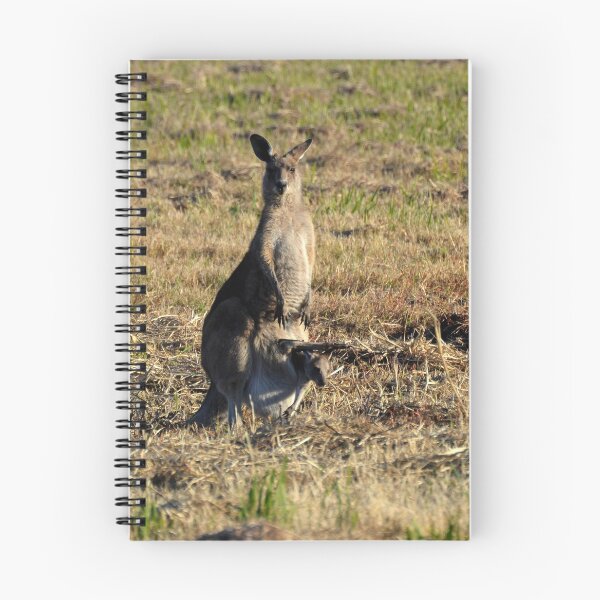 Item preview, Kangaroo and Joey designed and sold by CodyLaskeyPhoto.