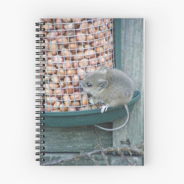 Item preview, MOUSE ON BIRD FEEDER designed and sold by Rexcharles.