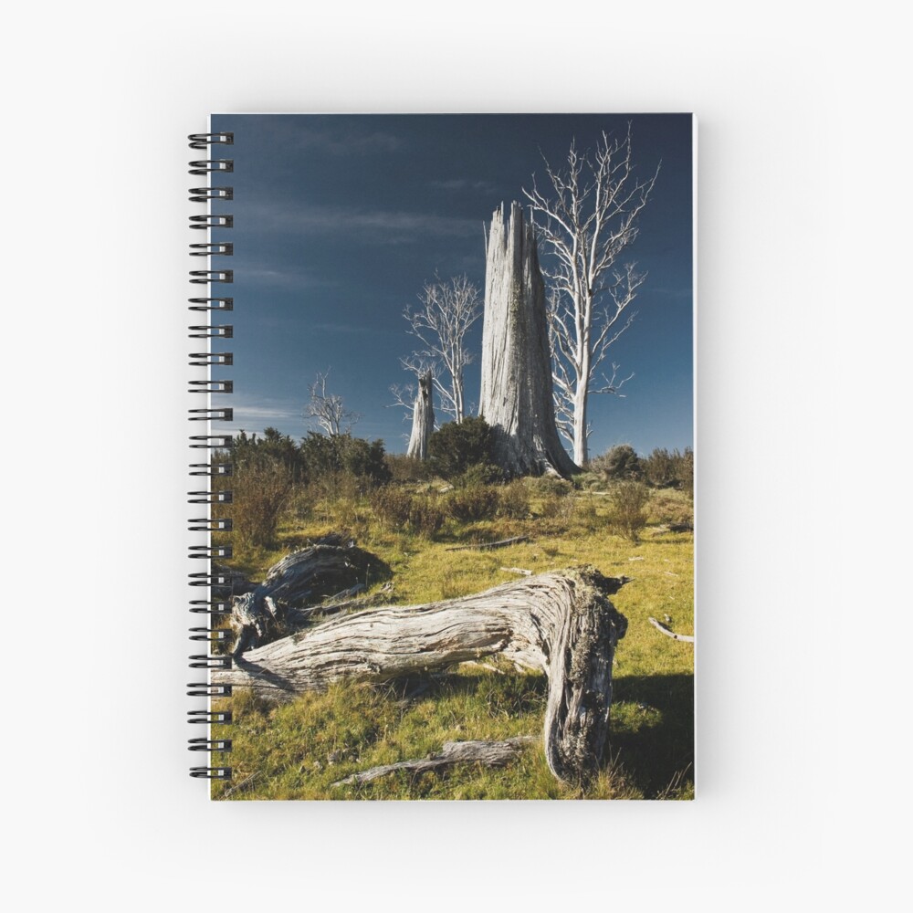 Item preview, Spiral Notebook designed and sold by wootton60.