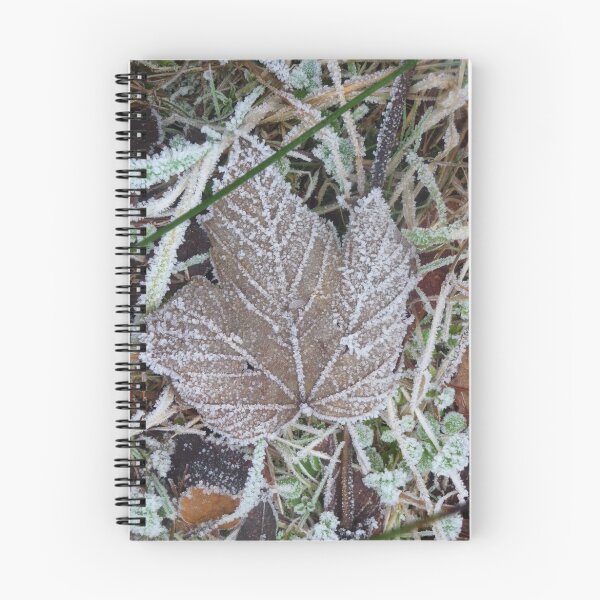 Artikelvorschau, Icy Leaf entworfen und verkauft von Aoife Mc Nulty.