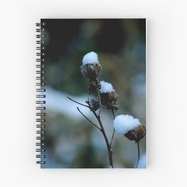 Aperçu de l'œuvre Snow Flower créée et vendue par Nith.
