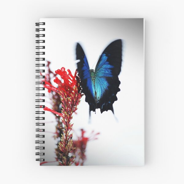 Item preview, Flutterby designed and sold by Jenny Dean.