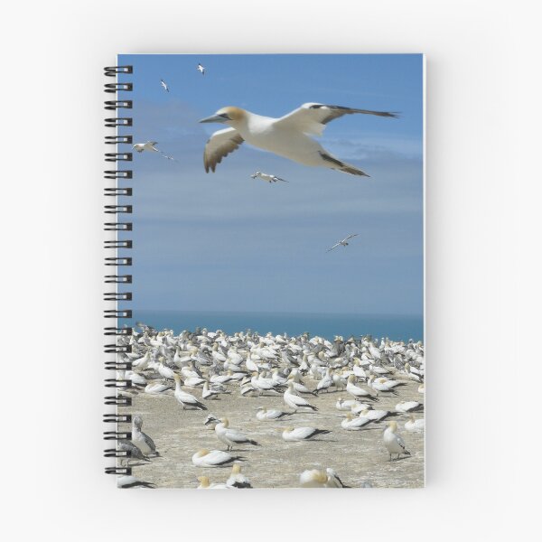 Item preview, Cape Kidnappers, Napier, New Zealand designed and sold by Flavio  Alvarenga.
