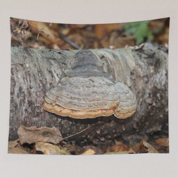 Item preview, Hoof Fungi designed and sold by AnnDixon.