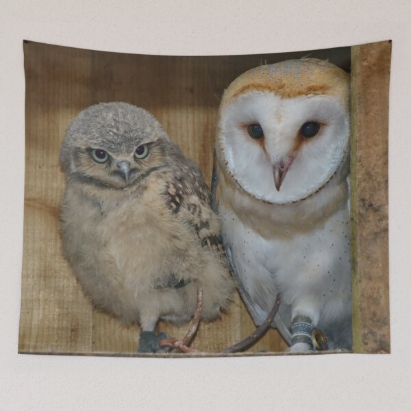 Item preview, Unusual Best Friends designed and sold by AnnDixon.