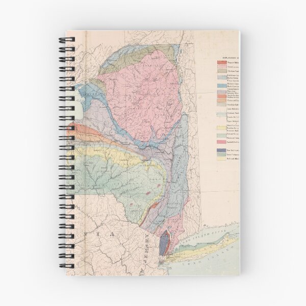 Item preview, Vintage Geological Map of New York State (1870) designed and sold by BravuraMedia.