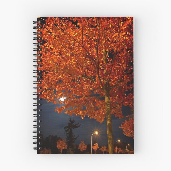 Item preview, boulevard at night designed and sold by Bill vander Sluys.