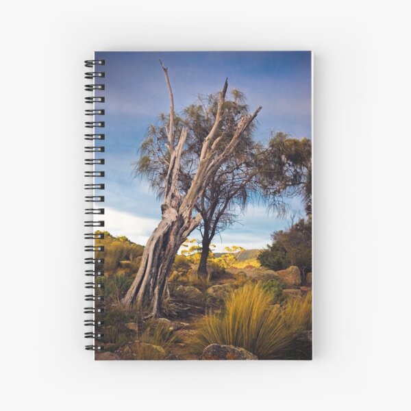Bent Spiral Notebook