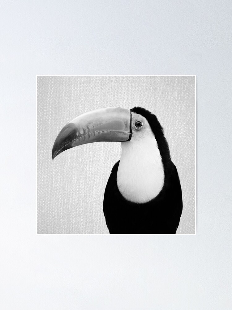 Toucan Noir Blanc Poster