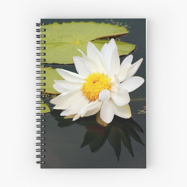 Aperçu de l'œuvre Water Lily créée et vendue par Modified.