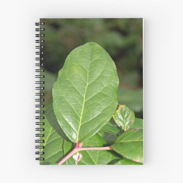Item preview, "Salal" designed and sold by Lynn Bawden.