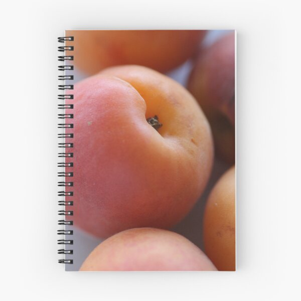 Item preview, Apricot designed and sold by Joy Watson - Natural Light Photography .