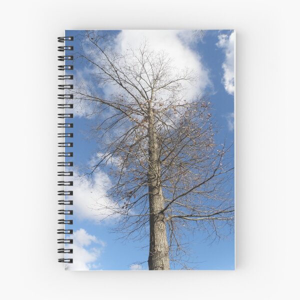 Aperçu de l'œuvre Leafless créée et vendue par Luann Gingras.