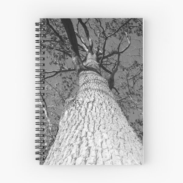 Item preview, Big Tree designed and sold by lroof.