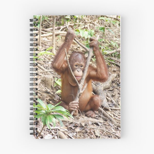 Item preview, orangutan orphan, Borneo designed and sold by gail.