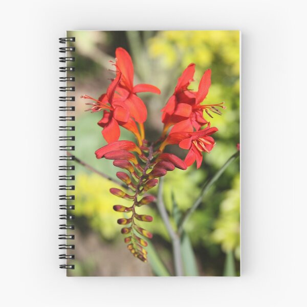 Item preview, V...very Red Flower  designed and sold by RejoDoal.