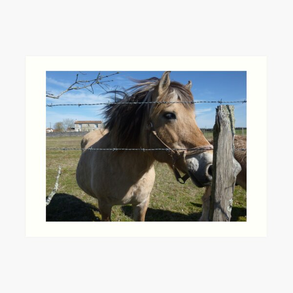Cheval Impression artistique
