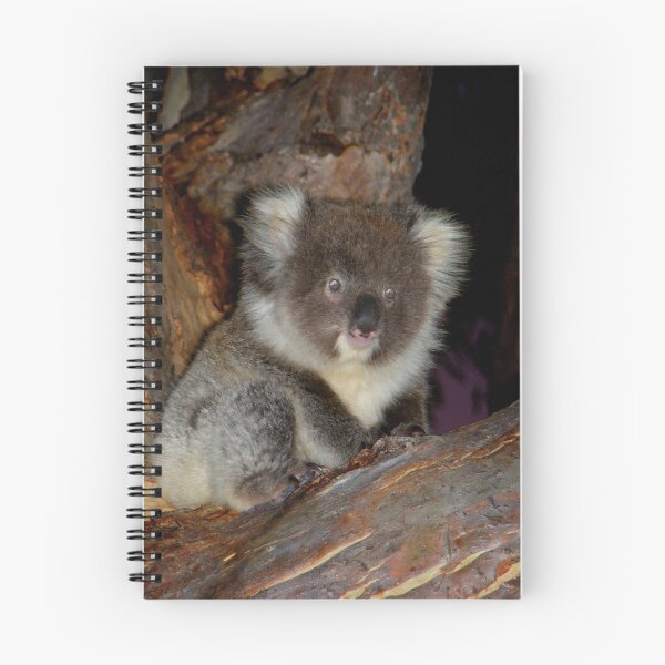 Item preview, Young Koala Cub designed and sold by Adam Cole.