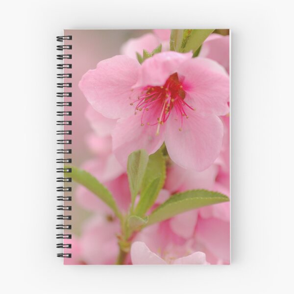 Item preview, Blossom designed and sold by Lorraine Deroon.